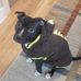 Gerald Mclean - Facebook