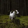 Gerald_More - @gerald_more - TikTok