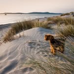 G Jaitin - @geraldinemcquadejaitin - Instagram