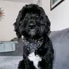 Geraldine McQuade - @geraldine.mcquade - TikTok