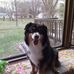 Gerald Meier - Facebook