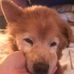 Gerald Meier - Facebook