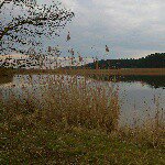 Gerald Meier - @simplemind333 - Instagram