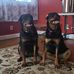 Jerry Mertz - Facebook