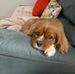 Geraldine Millard - Facebook