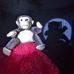 Gerald - @gerald_the_monke - Instagram