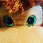 gerald - @gerald_the_monkey08 - Instagram