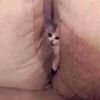 gerald_monkey5 - @gerald_monkey5 - TikTok