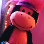 Gerald The Monkey - @gerald_the_hunky_monkey - Instagram