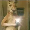 Gerald MONTOYA - @gerald.montoya6 - TikTok