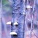 Gerald Nadeau - Facebook