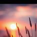 Gerald New - Facebook