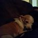 Gerald Northrup - Facebook