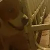 gyrferds - @geraldorr - TikTok