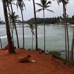 Gerald Packard - @geraldpackard - Instagram