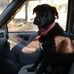 Gerald Padgett - Facebook