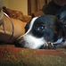 Jerry Paquette - Facebook