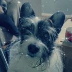 Geraldine Parkinson - @parkinson.geraldine - Instagram