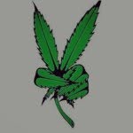 Geraldperona - @kane666000 - Instagram