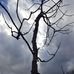Jerry Posthumus - Facebook