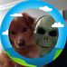 Gerald Power - Facebook