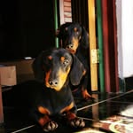 Gerald Fonseca Prado - @geraldfonsecap - Instagram