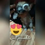 Milagritos Janjachi Prado - @gerald_prado_18 - Instagram