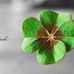 Proger Ge - Facebook