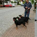 Gerald Preiß - @preissgerald - Instagram