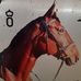 Gerald Ptacek - Facebook