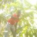 Geraldo Carlos - Facebook