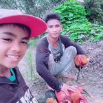 Gerald Rabesis - @geraldrabesis - Instagram
