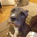 Gerald Radke - Facebook