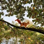 Gerald Reiter - @reiter739 - Instagram