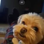 Gerald Ries - @gerald_ries - Instagram