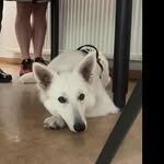 Gerald Ritter - @glue.ckauf1904 - Instagram