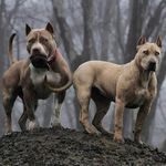 Robbie🐼 - @robbie__gerald - Instagram