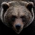 Gerald Rochon - Facebook
