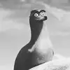 Gerald  - @gerald_rock - TikTok