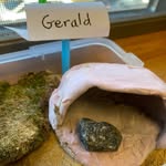 Gerald Rock - @adventures_of_gerald_the_rock - Instagram