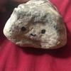 gerald.the.rock - @gerald.the.rock - TikTok
