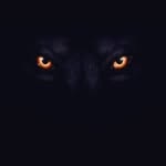NG_RNKSTR - @ger_aldrockie - Instagram