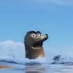 ur fav sea lion - @geraldrocksmyworld - Instagram