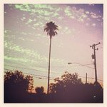 Gerald Rucker - @geraldrucker - Instagram