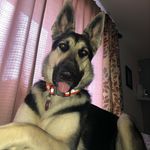 Gerald Rucker - @booboo_nova - Instagram