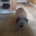 Gerald Schofield - Facebook