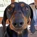 Gerald Schreck - Facebook