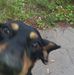 Gerald Schreck - Facebook
