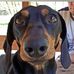 Gerald Schreck - Facebook