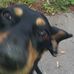 Gerald Schreck - Facebook
